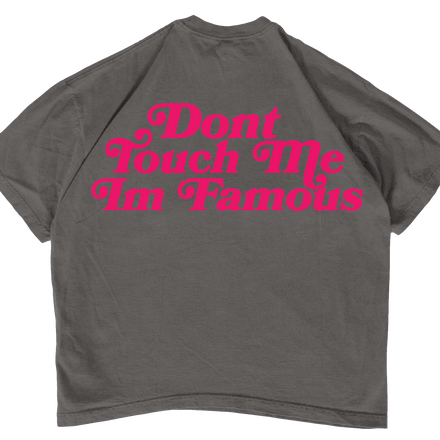 viiii. Don't Touch Me Im Famous