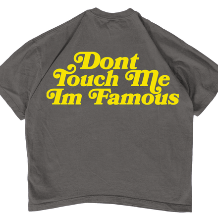 viiii. Don't Touch Me Im Famous